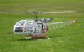 /album/vario-lama/p1010024-jpg/